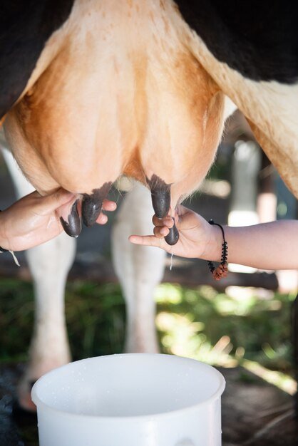 Fresh milk in a glass bottle